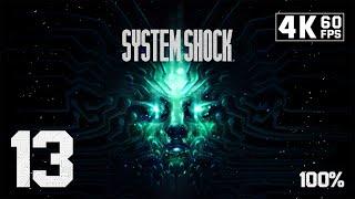 System Shock 1: Remake (PC) - 4K60 Walkthrough 100% Part 13 - Beta Grove & Executive Level, Ep. 2