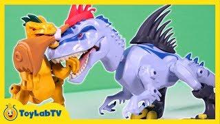 Jurassic World Toys Indominus Rex vs Velociraptor Mash Pack