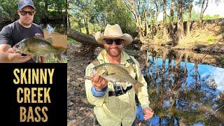 Skinny Creek Bass fishing - lost count after 20 fish! Berry NSW