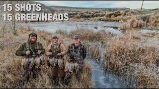 15 SHOTS, 15 GREENHEADS over Shallow Ice Hole!!! (PERFECT DUCK HUNT)
