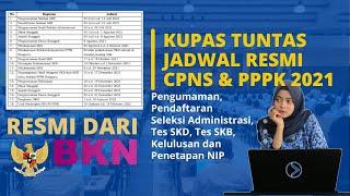 Resmi, Jadwal Seleksi CPNS & P3K 2021, Apa yang Harus Disiapkan?