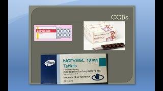 Pharmacology 602 a Calcium Channel blocker CCB Verapamil Nifedipine Amlodipine