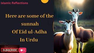 Sunnah you should do in Eid ul-Adha in urdu| Islamic Reflections #muhammad #sunnah  #youtubevideo