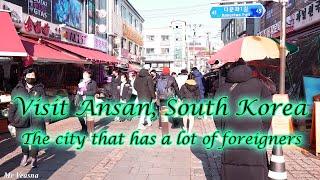 Visit Ansan on winter, the small city that has a lot of foreigners,  travel to South Korea