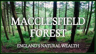 Macclesfield Forest amazing 5 hours adventurous walk in 20 minutes