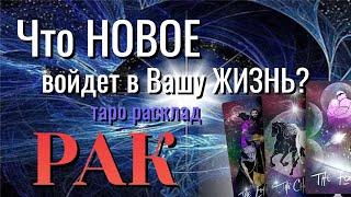 РАК  ЧТО НОВОЕ войдёт в Вашу ЖИЗНЬ Таро Расклад онлайн