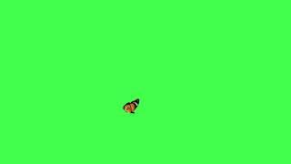 Butterfly Land and Take Off Green Screen Video Effect