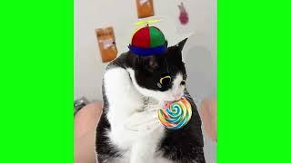 *SPRUNKI RETAKE* Lollipop Cat (Horror) Reanimated