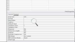 Adding Validation Rules and Input Masks - Access 2010