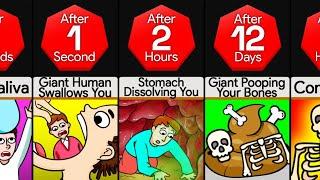 Timeline: What If You Were Swallowed By A Giant Human