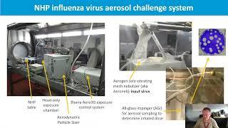 Macaque model of severe respiratory disease caused by H5N1 viruses