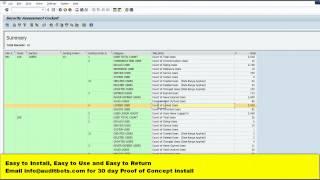 SAP Security Audit for Multiple Systems