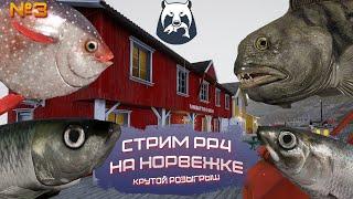 Русская рыбалка 4 ловим гигантов на крючок. Турниры на море)