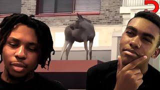 Donkeys Can Climb Buildings Apparently Ft. Ash | Daily Dose Of Internet