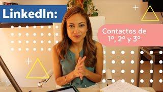 Linkedin: Contactos de 1°, 2° y 3° | Daniela Rodriguez