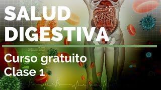 SALUD DIGESTIVA ¡Curso gratuito! Clase 1️⃣