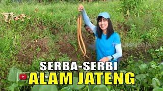 SERBA-SERBI ALAM JATENG | JEJAK PETUALANG (21/04/21)