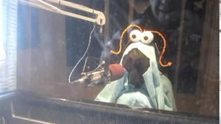 Sesame Street Martian Reading the News on 1015 The Hawk   Oct 31 2014