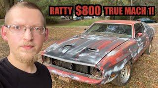 Muscle Car DEALS Are Still Out There! Cheap Big Block Mustang!