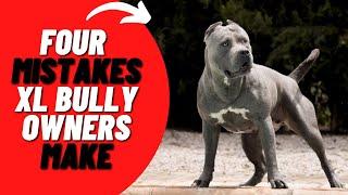 4 Common Mistakes XL American Bully Owners Make (and How to Avoid Them)