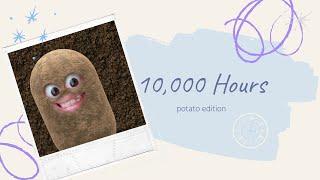 10,000 hours - potato edition