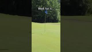 INCREDIBLE chip shot #Golfletes #shorts