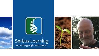 An Introduction to Sorbus Learning CIC