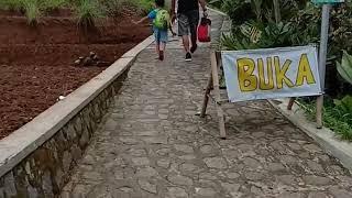 Wisata Melung Banyumas || Berenang di tengah sawah