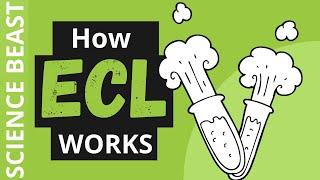 Electrochemiluminescence : how ECL works [animation video]