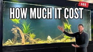 500 Gallon Plywood Aquarium Is Finished! But Was It Worth It?