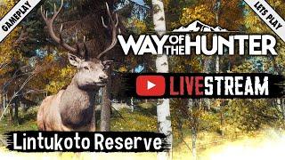 Way of the Hunter - Jagen im Lintukoto Reserve  | Gameplay Deutsch