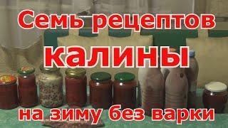 Семь рецептов из калины на зиму без варки. Проверенные рецепты. Как сохранить максимум витаминов.