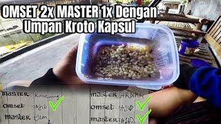 Omset 2x Dengan Umpan Kroto Kapsul || Umpan Bawal Dimusim Panas