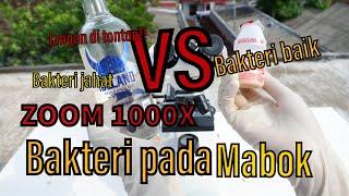 ZOOM BAKTERI  YAKULT VS ALKOHOL  ZOOM BAKTERI JAHAT VS BAKTERI BAIK