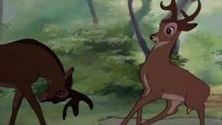 Bambi 大人 ファリーンとの再会