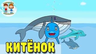 Дельфиненок Тёмик – КИТЕНОК |  | Морские животные. Мультики для детей