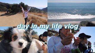 a day in my life | hiking, beach, & working out (vlogmas day 1)