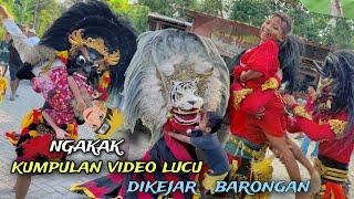 ASLI BIKIN NGAKAK !! KUMPULAN VIDEO LUCU TERBARU  DIKEJAR BARONGAN