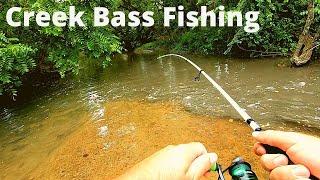 Bass Fishing in SMALL Creeks (How to and My Helpful Tips)