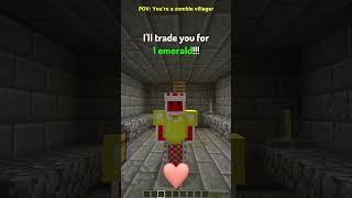 POV: You're a Villager in Minecraft