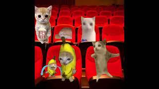 Baby Banana Cat Cinema ️ #catmemes #cat #shorts #fyp #bananacat