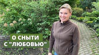 Как я борюсь со снытью, простой и возможно многим известный, способ