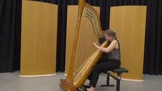 Sonate No 6 part I by Antonio Rosetti // Stien De Neef, Harpist