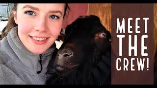 Meet the animals on our Homestead! - Part 1