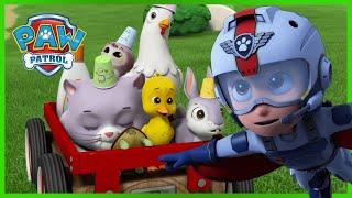 Pups Save Carnival Day, Elephants in the Jungle, and more! | PAW Patrol Episode | Cartoons for Kids