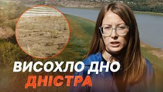 Висохле дно Дністра стало берегом і заросло — як це може вплинути на річку