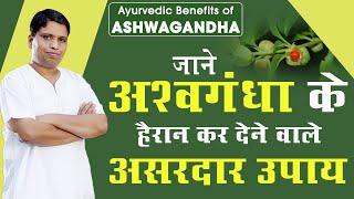 जाने अश्वगंधा (Ashwagandha) के हैरान कर देने वाले असरदार उपाय | Acharya Balkrishna