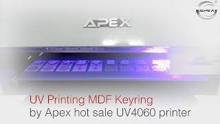 UV Printing MDF Keyring by Apex hot sale UV4060 printer