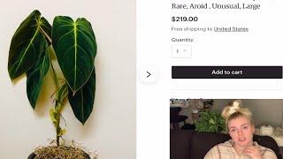 Go Rare House Plant Shopping With Me ONLINE! Etsy + Ebay Rare Plant Tour! WHAT YOU SHOULDN'T BUY!!!!