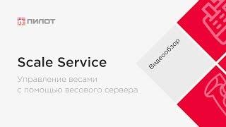 Управление весами с помощью Scale Service - весовой сервер